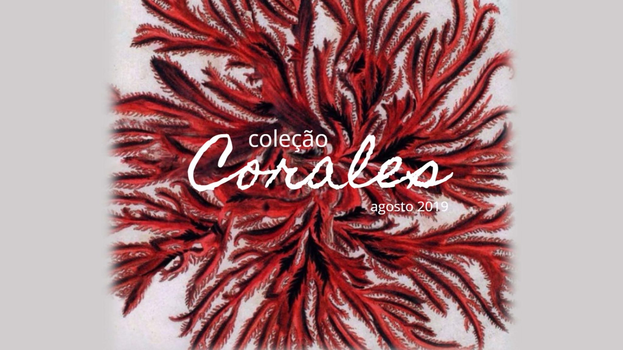 Coleção Corales