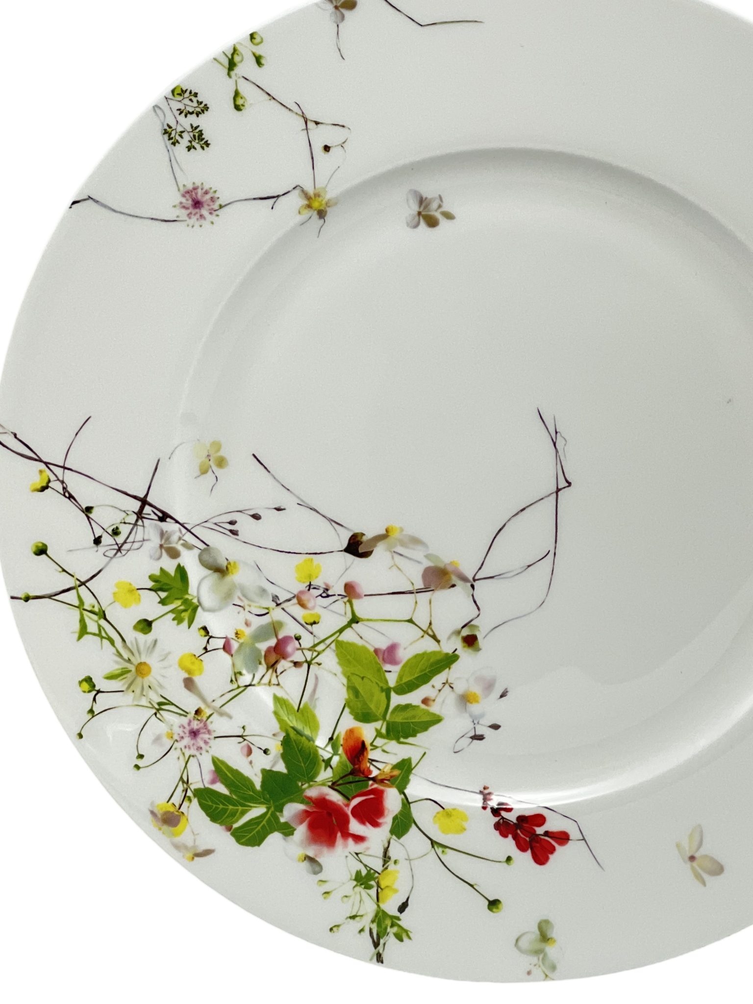 SOUSPLAT ROSENTHAL  FLEURS SAUVAGES