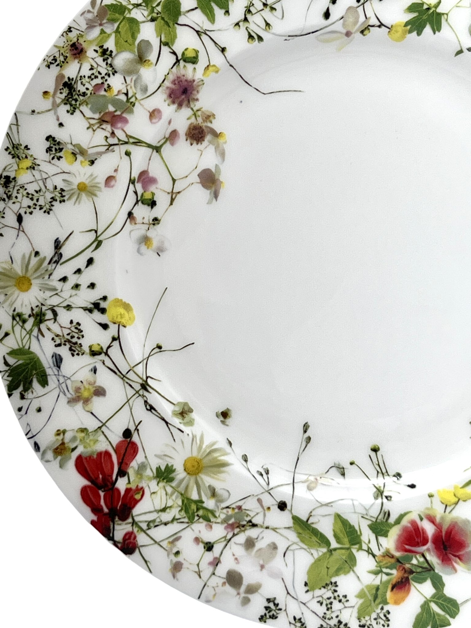 APARELHO DE JANTAR ROSENTHAL FLEURS SAUVAGES COM 12 PEÇAS